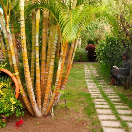 Elegante Con Piscina Y Jardin, Ideal 2 Apartment *